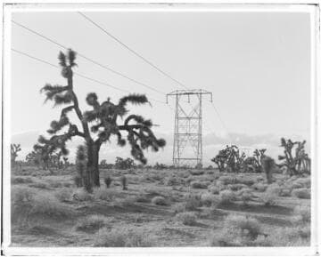 Vincent Transmission Line