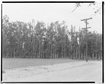 Boulder-Chino Transmission Line