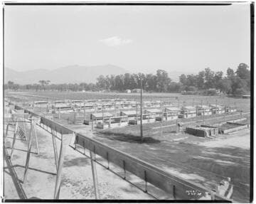 P2 - Poultry - Brooders at Hatch Hatchery