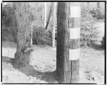 A1.2 - Accidents - Harry Fairweather accident