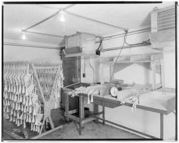 P2 - Poultry - Wagon Wheel Poultry Ranch in Redondo