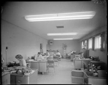 Office staff at their desks