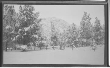 Kern River No. 3 - About Camp