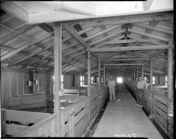 Interior of pig pen building