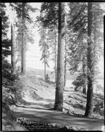 Big Creek Huntington Lake Dams