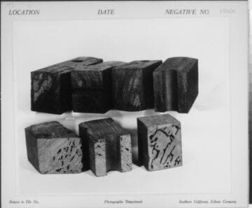 T1 Termites - Sections of crossarms