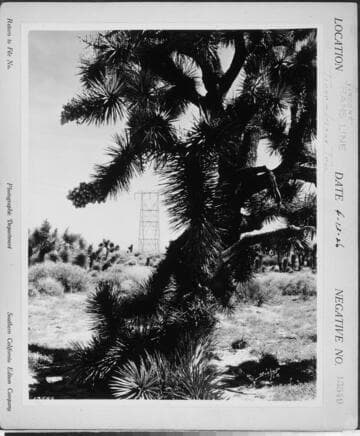 Vincent Transmission Line