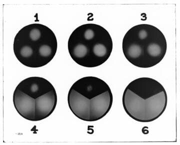C1.1 - Charts miscellaneous
