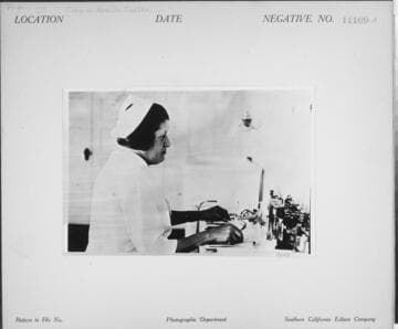 P1.2 - Portraits, Miscellaneous