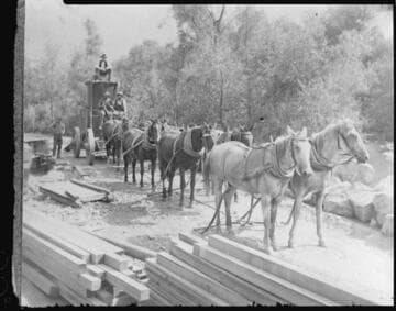 A team of horses hauling transformers to Kaweah #2 Hydro Plant