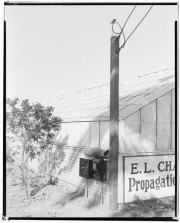 N1 - Nurseries & Soil Heating - Nursery E.L. Chappel Propagation Plant in Riverside
