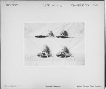 T2 Testing - Porcelain Insulators