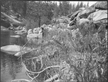 Kern River Miscellaneous