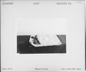 A3.1 - Appliances miscellaneous