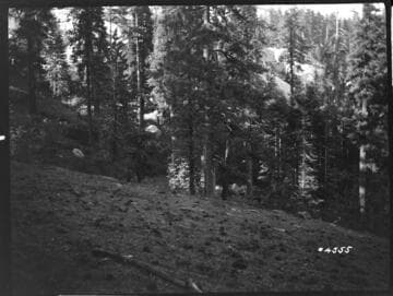 Big Creek, Shaver Lake Dam - Shaver Project