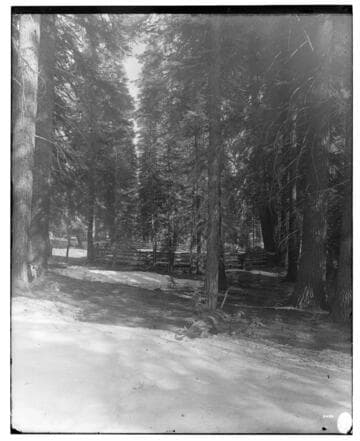 Big Creek, Miscellaneous