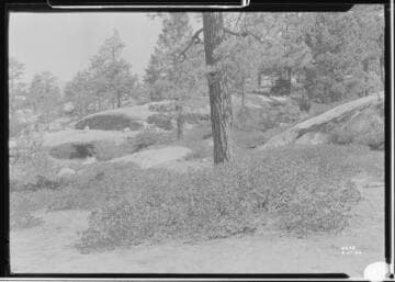 Big Creek, Florence Lake Dam - Proposed location for new road