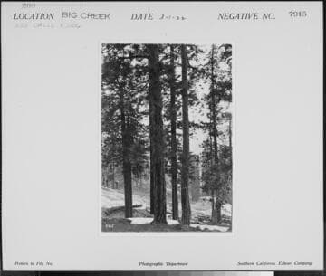 Big Creek, Miscellaneous - Accident