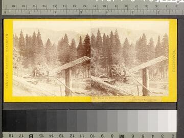 216. View at Shady Run