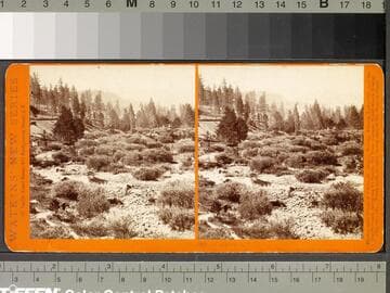 208. Coldstream Valley, Western Summits of Sierras