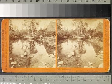 207. Coldstream, Eastern Slope of Western Summit