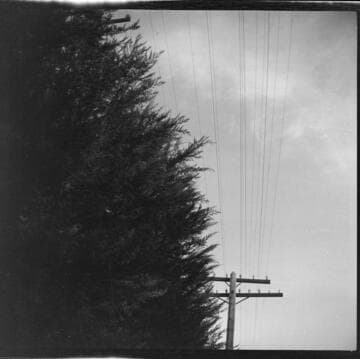 Vegetation growing too close to overhead power lines