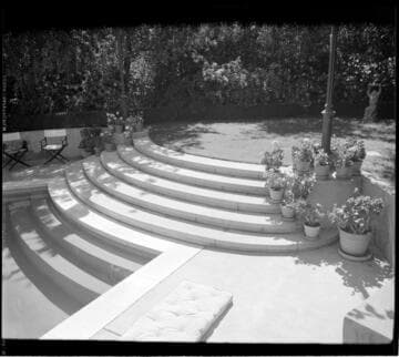 San Francisco gardens: [unidentified]