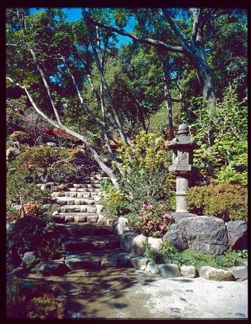 Guiberson, Gordon, Japanese garden