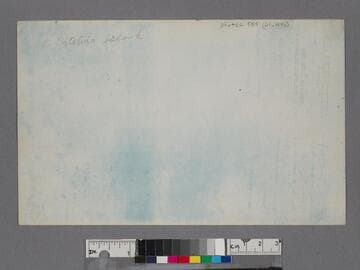 Camping group at Catalina Island