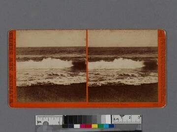 Bathing in the Surf at Santa Monica