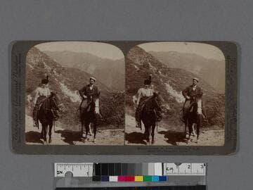 Millards Canyon, Mt. Lowe, California, U.S.A