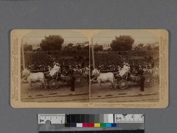 Beautiful tribute to a beloved ruler - President McKinley entering Santa Barbara in a Carriage of Roses, California