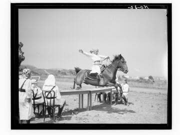Single rider jumping his horse, Urban Military Academy, Brentwood, Los Angeles