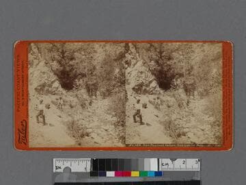 San Pascual Cañon, San Gabriel Mountains, Cal