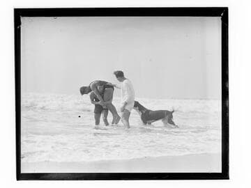 Jack Donovan, lifeguards and dog training on beach, Santa Monica, California