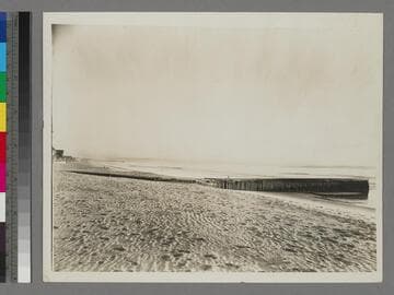 View of Venice beach and pier ruins