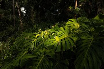 Go to image 6.