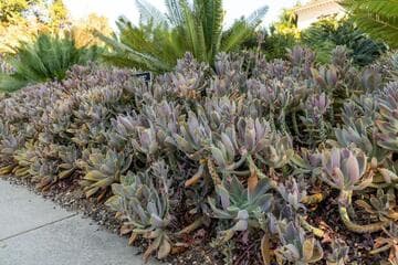 Go to image 3.