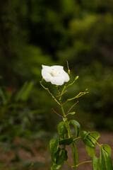 Go to image 8.