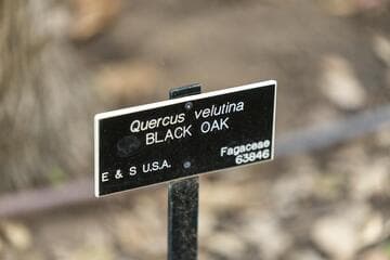 Go to image 8.
