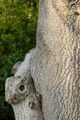 Go to image 4.