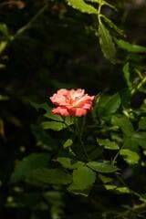Go to image 3.