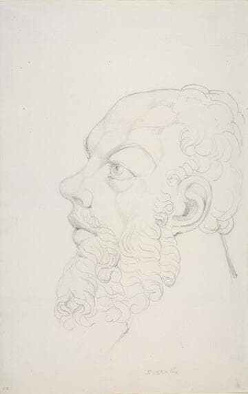 Socrates