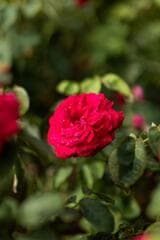 Go to image 6.
