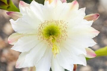 Go to image 7.
