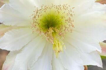 Go to image 8.