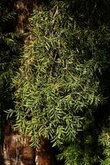 Go to image 7.