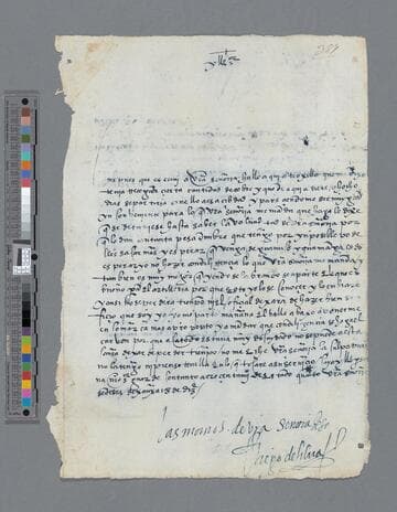 Diego de Silva letter to Gonzalo Pizarro