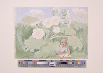 Sketchbook [p. 15]
