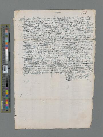 Alonso de Silva Testimonio Sobra las resolveiones que se tomaron en Mora